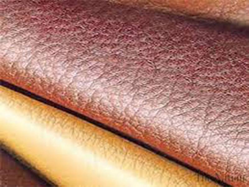 Getting to know calfskin vs lambskin + the exceptional price of buying calfskin vs lambskin