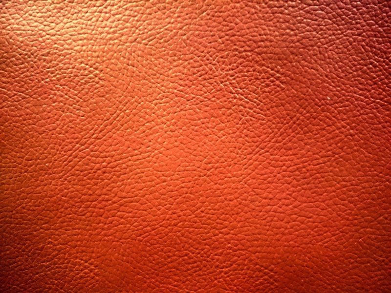 raw leather co srl | Buy at a cheap price